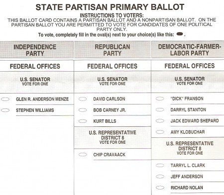 ballot duluth primary sample