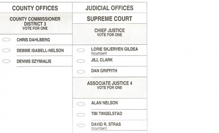duluth ballot election