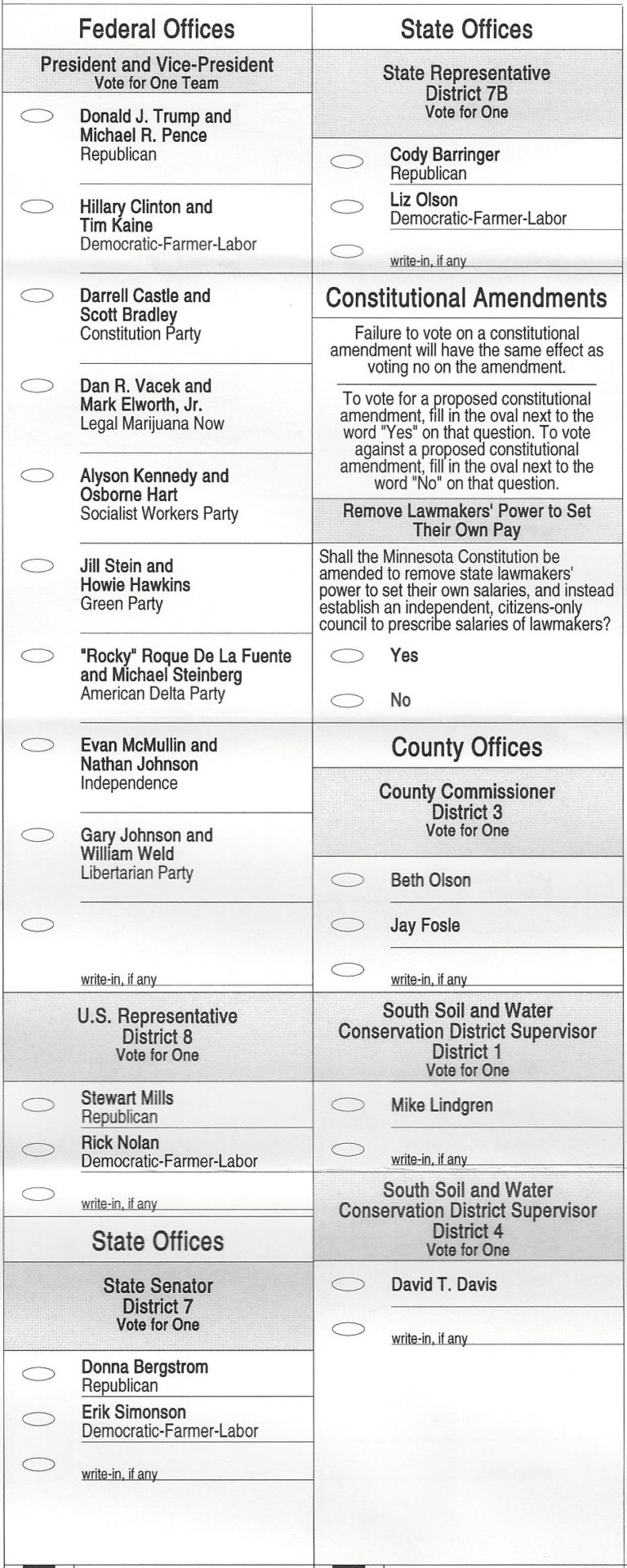 Duluth 2016 General Election Sample Ballot - Perfect Duluth Day