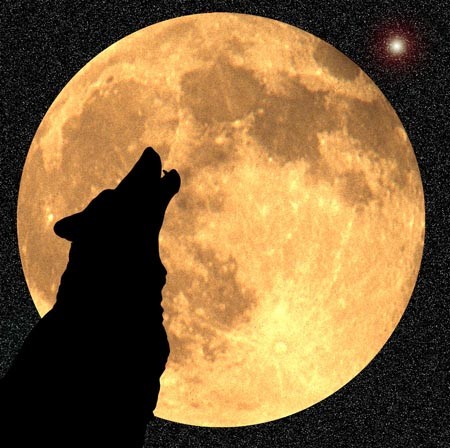 Astro Bob: Full Wolf Moon turns night into day - Duluth News Tribune,  Fulmoon 