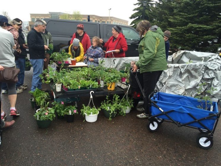 Duluth Garden Flower Society Plant Sale 2017 - Perfect Duluth Day