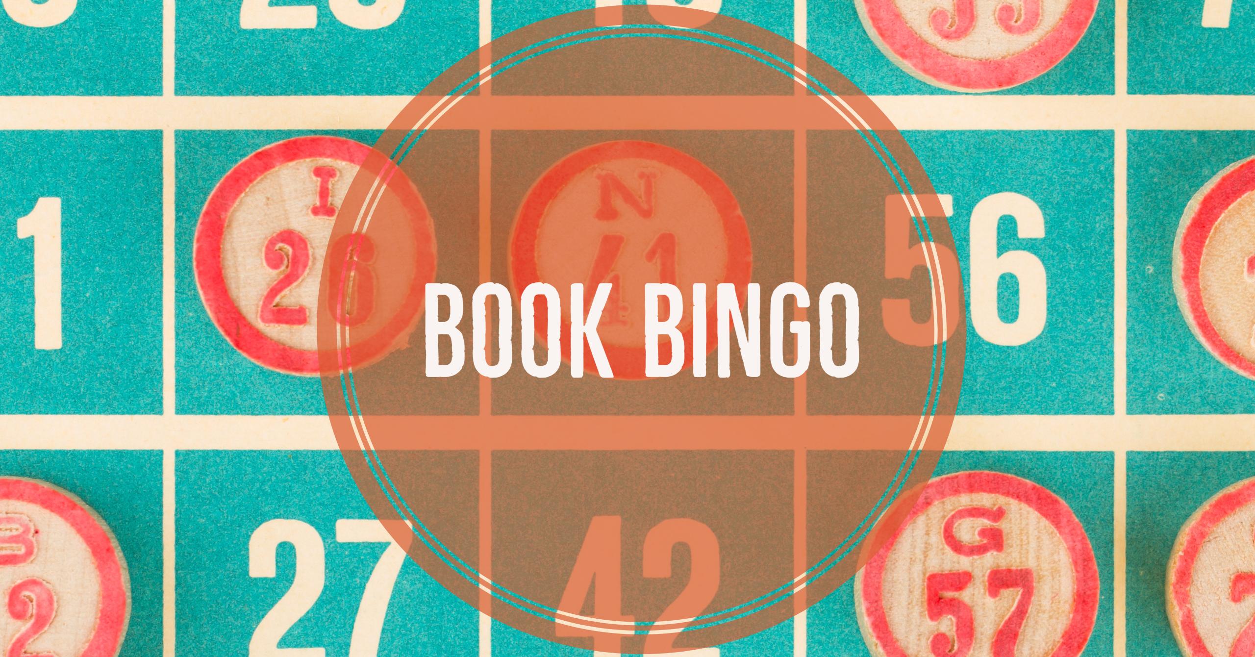 Book Bingo Perfect Duluth Day