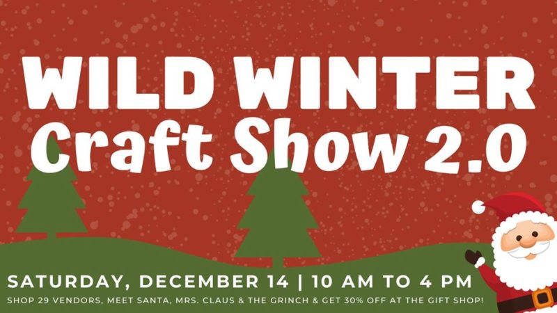 Download Wild Winter Craft Show 2 0 Perfect Duluth Day Yellowimages Mockups