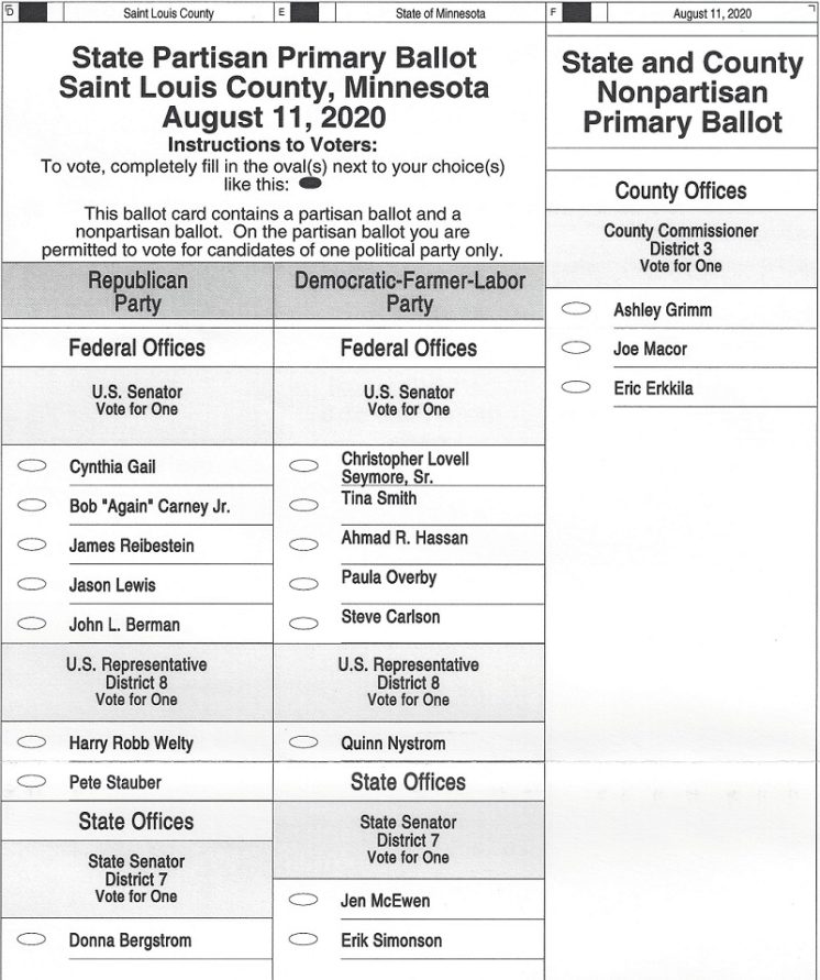 Duluth 2020 Primary Election Sample Ballot - Perfect Duluth Day