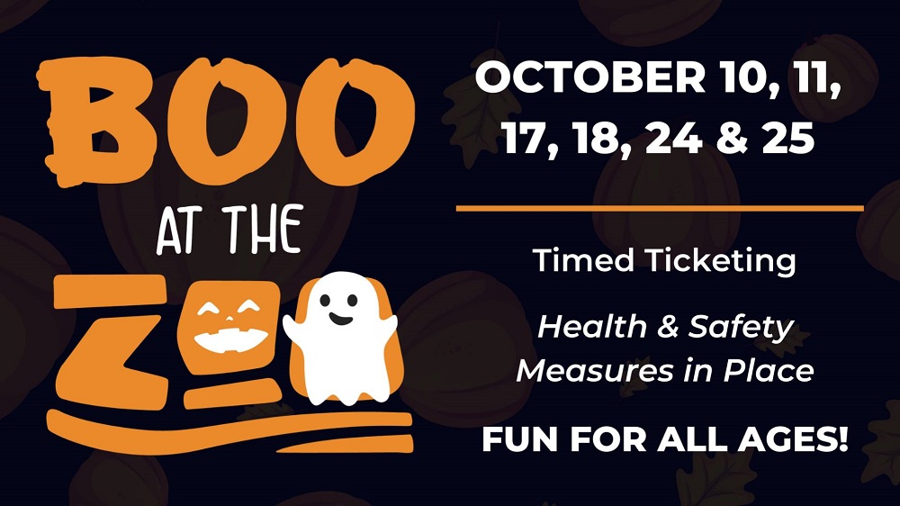 Boo At The Zoo 2020 - Perfect Duluth Day