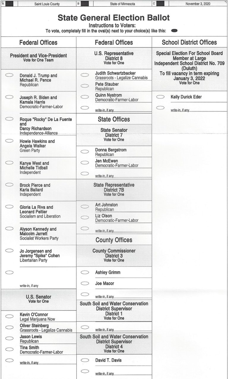 Duluth General Election Sample Ballot 2020 Perfect Duluth Day