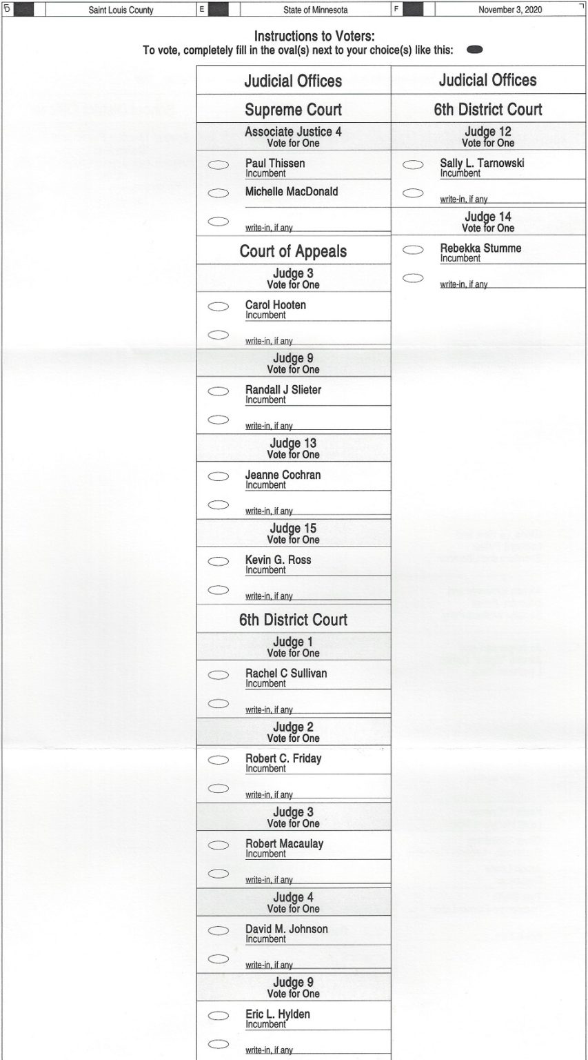 Duluth General Election Sample Ballot 2020 - Perfect Duluth Day