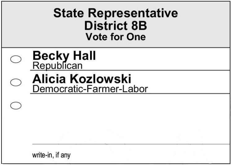 Duluth 2022 General Election Sample Ballot Perfect Duluth Day